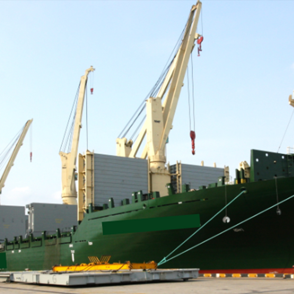 TTS RoRo Equipment Service in Singapore